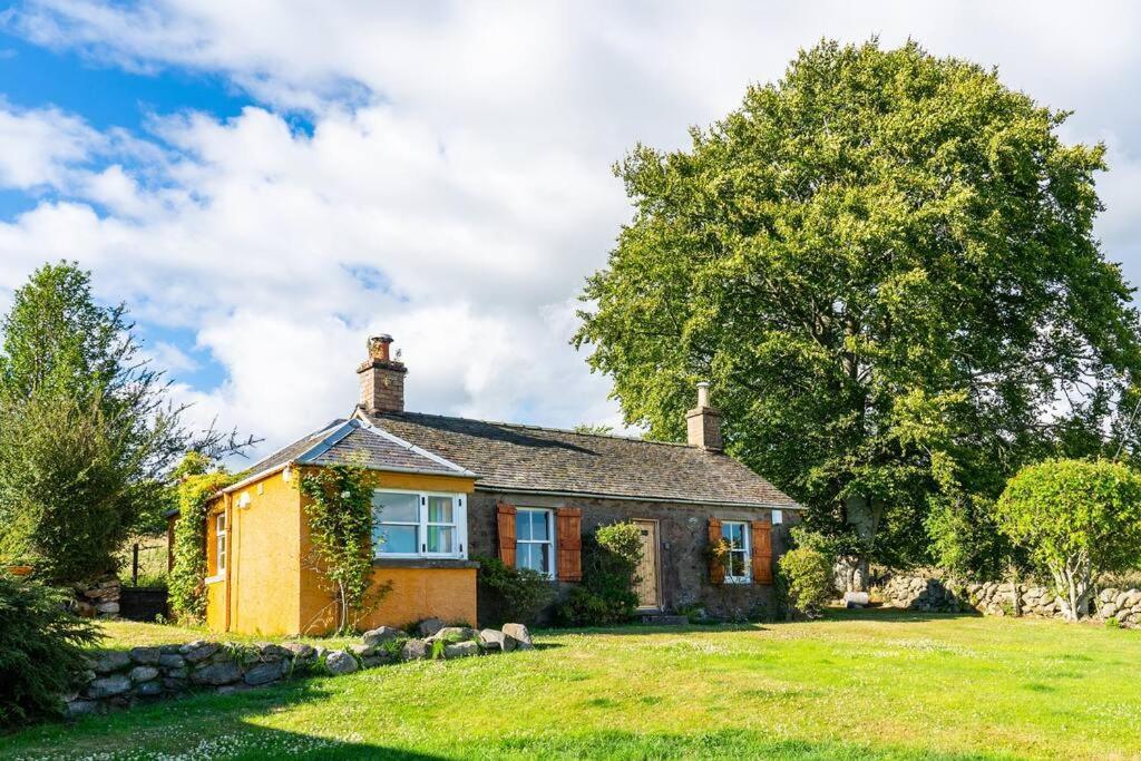 Blindwelleyes Dog Friendly Rural Haven * Blairgowrie and Rattray
